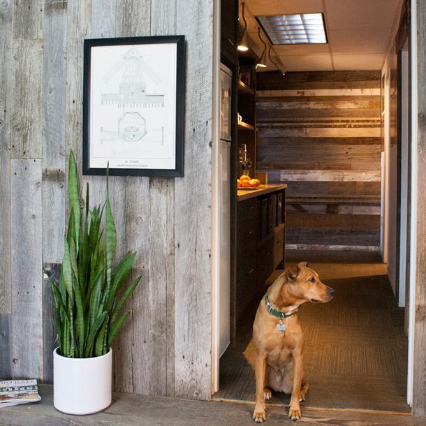 Pioneer Millworks Reclaimed American Prairie Reclaimed Barnwood