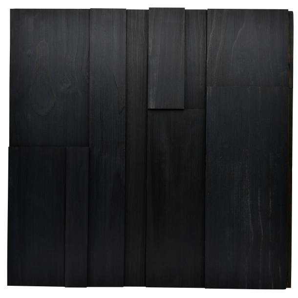Skyline™—Multidimentional Exterior Cladding in finish Black