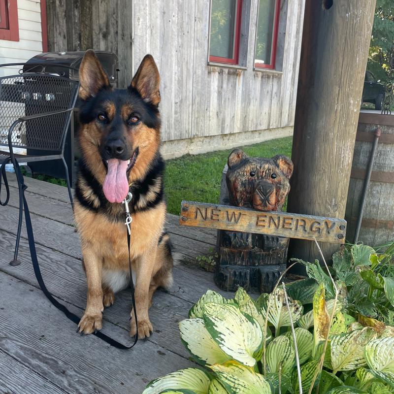 Lulee the sales helper